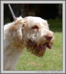 Filename=M_HarrysRock_1.jpg
Filesize=151KiB
Dimensions=888x1000
Date added=Mar 23, 2021 M_HarrysRock_1.jpg