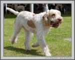 Filename=M_HarrysRock_4.jpg
Filesize=174KiB
Dimensions=1000x810
Date added=Mar 23, 2021 M_HarrysRock_4.jpg
