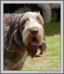 Filename=M_Hugo_3.jpg
Filesize=132KiB
Dimensions=879x1000
Date added=Mar 23, 2021 M_Hugo_3.jpg