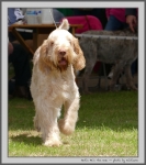 Filename=N_HeSTheOne.jpg
Filesize=164KiB
Dimensions=888x1000
Date added=Mar 23, 2021 N_HeSTheOne.jpg
