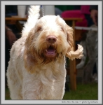 Filename=N_HeSTheOne_2.jpg
Filesize=166KiB
Dimensions=983x1000
Date added=Mar 23, 2021 N_HeSTheOne_2.jpg