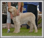 Filename=R_Cherriecola.jpg
Filesize=181KiB
Dimensions=1000x871
Date added=Mar 23, 2021 R_Cherriecola.jpg