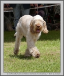 Filename=R_Cherriecola_1.jpg
Filesize=248KiB
Dimensions=846x1000
Date added=Mar 23, 2021 R_Cherriecola_1.jpg