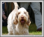 Filename=R_FairDinkum.jpg
Filesize=145KiB
Dimensions=1000x829
Date added=Mar 23, 2021 R_FairDinkum.jpg