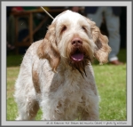 Filename=R_FairDinkum_2.jpg
Filesize=166KiB
Dimensions=1000x955
Date added=Mar 23, 2021 R_FairDinkum_2.jpg