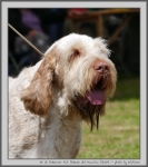 Filename=R_FairDinkum_6.jpg
Filesize=155KiB
Dimensions=888x1000
Date added=Mar 23, 2021 R_FairDinkum_6.jpg
