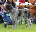 Filename=Franca-Ferola.jpg
Filesize=298KiB
Dimensions=800x697
Date added=Mar 23, 2021 Franca-Ferola.jpg