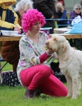 Filename=Pink_Lady.jpg
Filesize=377KiB
Dimensions=800x1022
Date added=Mar 23, 2021 Pink_Lady.jpg