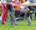 Filename=T-Ettore.jpg
Filesize=292KiB
Dimensions=800x684
Date added=Mar 23, 2021 T-Ettore.jpg