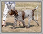 Filename=B_Biscotti_1.jpg
Filesize=307KiB
Dimensions=1267x1000
Date added=Mar 23, 2021 B_Biscotti_1.jpg