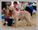Filename=B_GeorgeGently.jpg
Filesize=305KiB
Dimensions=1231x1000
Date added=Mar 23, 2021 B_GeorgeGently.jpg