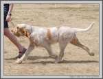 Filename=C_PurpleStar_3.jpg
Filesize=323KiB
Dimensions=1283x1000
Date added=Mar 23, 2021 C_PurpleStar_3.jpg