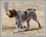 Filename=G_FlowersGoldStar_1.jpg
Filesize=267KiB
Dimensions=1220x1000
Date added=Mar 23, 2021 G_FlowersGoldStar_1.jpg