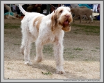 Filename=I_Palmina_2.jpg
Filesize=277KiB
Dimensions=1231x1000
Date added=Mar 23, 2021 I_Palmina_2.jpg