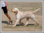 Filename=K_EbrelFyllys.jpg
Filesize=358KiB
Dimensions=1338x1000
Date added=Mar 23, 2021 K_EbrelFyllys.jpg