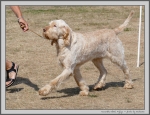 Filename=K_EbrelFyllys_1.jpg
Filesize=351KiB
Dimensions=1297x1000
Date added=Mar 23, 2021 K_EbrelFyllys_1.jpg