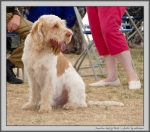 Filename=M_HarrysRock.jpg
Filesize=213KiB
Dimensions=1136x1000
Date added=Mar 23, 2021 M_HarrysRock.jpg