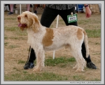 Filename=M_HarrysRock_2.jpg
Filesize=292KiB
Dimensions=1231x1000
Date added=Mar 23, 2021 M_HarrysRock_2.jpg