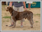 Filename=M_Hugo.jpg
Filesize=349KiB
Dimensions=1298x1000
Date added=Mar 23, 2021 M_Hugo.jpg