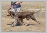 Filename=M_Hugo_1.jpg
Filesize=361KiB
Dimensions=1379x1000
Date added=Mar 23, 2021 M_Hugo_1.jpg