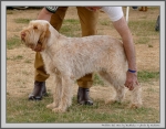 Filename=Prottino-DelVera.jpg
Filesize=344KiB
Dimensions=1282x1000
Date added=Mar 23, 2021 Prottino-DelVera.jpg