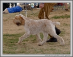 Filename=Prottino-DelVera_1.jpg
Filesize=246KiB
Dimensions=1284x1000
Date added=Mar 23, 2021 Prottino-DelVera_1.jpg