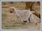 Filename=Prottino-DelVera_3.jpg
Filesize=248KiB
Dimensions=1344x1000
Date added=Mar 23, 2021 Prottino-DelVera_3.jpg
