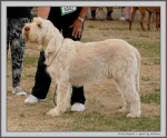 Filename=R_Rafael.jpg
Filesize=299KiB
Dimensions=1202x1000
Date added=Mar 23, 2021 R_Rafael.jpg