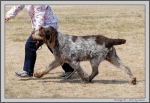 Filename=S_Eli_1.jpg
Filesize=363KiB
Dimensions=1456x1000
Date added=Mar 23, 2021 S_Eli_1.jpg