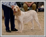 Filename=S_GreatRoyalRose_1.jpg
Filesize=281KiB
Dimensions=1222x1000
Date added=Mar 23, 2021 S_GreatRoyalRose_1.jpg