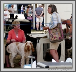 Filename=Spectators_8.jpg
Filesize=228KiB
Dimensions=1053x1000
Date added=Mar 23, 2021 Spectators_8.jpg