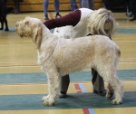 Filename=Aurelia-TheExplorer.jpg
Filesize=207KiB
Dimensions=800x677
Date added=Mar 23, 2021 Aurelia-TheExplorer.jpg