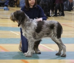 Filename=Franca-Ferola.jpg
Filesize=185KiB
Dimensions=800x680
Date added=Mar 23, 2021 Franca-Ferola.jpg