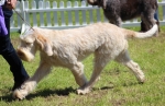 Filename=A-Adrianna.jpg
Filesize=224KiB
Dimensions=800x519
Date added=Mar 23, 2021 A-Adrianna.jpg