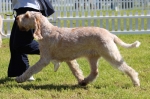 Filename=Aurelia-TheExplorer.jpg
Filesize=229KiB
Dimensions=800x528
Date added=Mar 23, 2021 Aurelia-TheExplorer.jpg