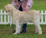 Filename=R-Ellena.jpg
Filesize=256KiB
Dimensions=800x666
Date added=Mar 23, 2021 R-Ellena.jpg