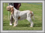 Filename=I_Palmina.jpg
Filesize=165KiB
Dimensions=1040x780
Date added=Mar 23, 2021 I_Palmina.jpg