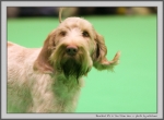 Filename=B_ItsATenFromLen_6.jpg
Filesize=115KiB
Dimensions=1159x850
Date added=Mar 23, 2021 B_ItsATenFromLen_6.jpg