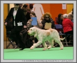 Filename=B_LadyMarmalade_5.jpg
Filesize=148KiB
Dimensions=1025x850
Date added=Mar 23, 2021 B_LadyMarmalade_5.jpg