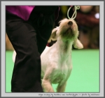 Filename=E_LosingMyMarbles_3.jpg
Filesize=98KiB
Dimensions=908x850
Date added=Mar 23, 2021 E_LosingMyMarbles_3.jpg