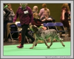 Filename=E_LostMyMarbles_2.jpg
Filesize=161KiB
Dimensions=1066x850
Date added=Mar 23, 2021 E_LostMyMarbles_2.jpg