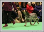 Filename=E_LostMyMarbles_3.jpg
Filesize=169KiB
Dimensions=1159x850
Date added=Mar 23, 2021 E_LostMyMarbles_3.jpg