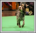 Filename=E_LostMyMarbles_4.jpg
Filesize=110KiB
Dimensions=935x850
Date added=Mar 23, 2021 E_LostMyMarbles_4.jpg
