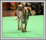 Filename=E_LostMyMarbles_5.jpg
Filesize=113KiB
Dimensions=962x850
Date added=Mar 23, 2021 E_LostMyMarbles_5.jpg