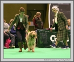 Filename=E_MrSandman_1.jpg
Filesize=164KiB
Dimensions=1014x850
Date added=Mar 23, 2021 E_MrSandman_1.jpg