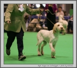 Filename=E_Teagan_3.jpg
Filesize=129KiB
Dimensions=958x850
Date added=Mar 23, 2021 E_Teagan_3.jpg