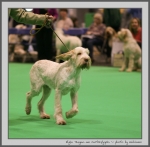 Filename=E_Teagan_4.jpg
Filesize=110KiB
Dimensions=865x850
Date added=Mar 23, 2021 E_Teagan_4.jpg
