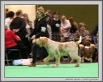 Filename=G_Gandini_2.jpg
Filesize=143KiB
Dimensions=1054x850
Date added=Mar 23, 2021 G_Gandini_2.jpg