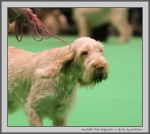 Filename=H_PinkExplosion_3.jpg
Filesize=109KiB
Dimensions=946x850
Date added=Mar 23, 2021 H_PinkExplosion_3.jpg