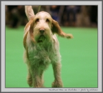 Filename=I_Mima_5.jpg
Filesize=100KiB
Dimensions=934x850
Date added=Mar 23, 2021 I_Mima_5.jpg